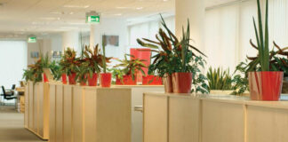 Plants Boost Worker Morale