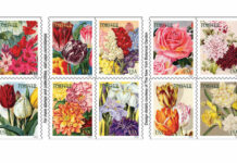 Sending Mail… with Flowers