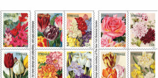 Sending Mail… with Flowers