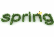 It's Spring
