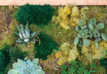 Inspirations from the Tiny House Movement