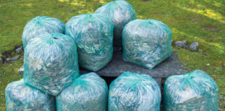 Trash Service vs. Yard Waste