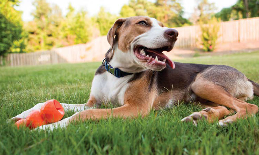 PHOTO: ISTOCK
