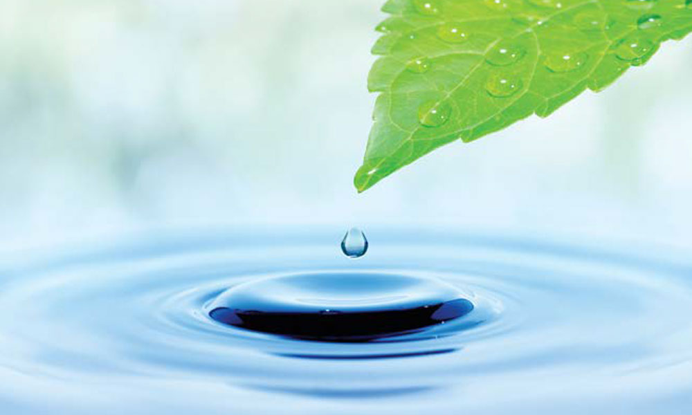 PHOTO: ISTOCK