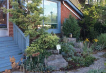 Xeriscaping’s 7 Big Rules