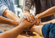 Build a Cohesive Team