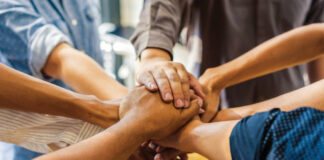Build a Cohesive Team