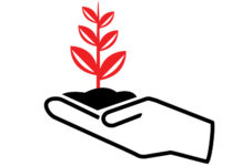 Holding Plant Growth