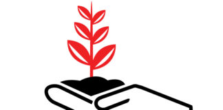 Holding Plant Growth