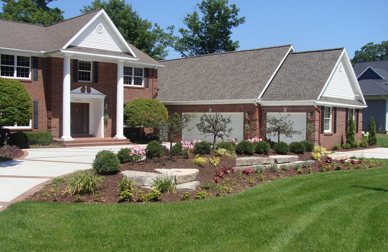 Front yard, driveway