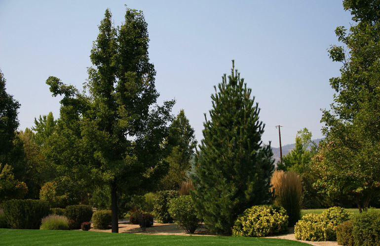 Photo: Reno Green Landscaping, Inc.