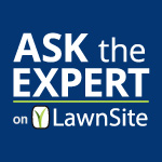 Ask the Expert on www.expired-link.com