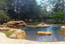Creating Artistic Pools