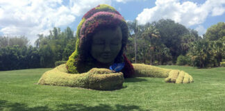 Flowering Creations