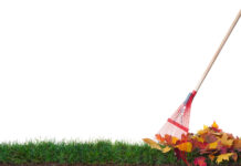 Raking Leaves
