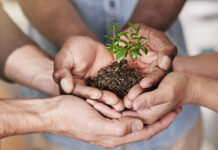 Hands helping growth