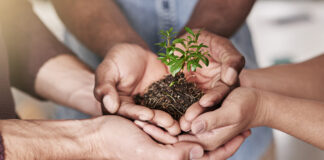 Hands helping growth