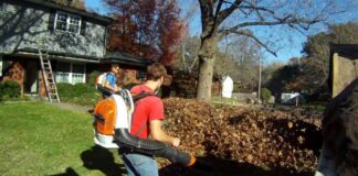 Fall leaf cleanup