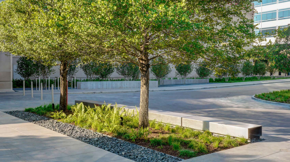Dallas Museum of Art