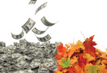 Leaf removal profit