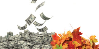 Leaf removal profit