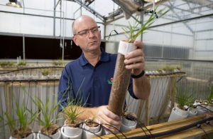 cooperative extension