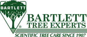 tree care