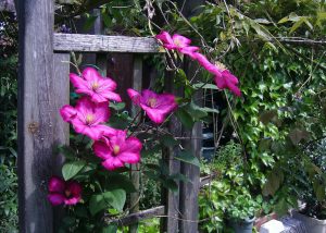 landscape trends 2019