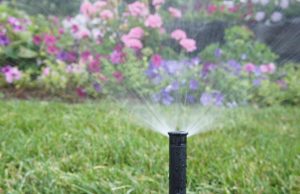 outdoor irrigation