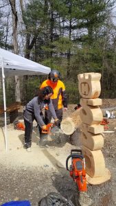 professional chainsaws