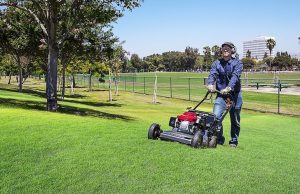 commercial lawn mower