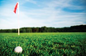 Biologicals On The Greens