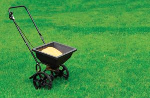 turfgrass fertilization