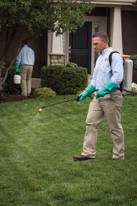 lawn and tree disease control