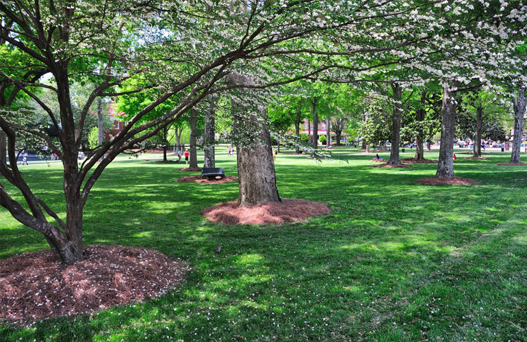University of Mississippi