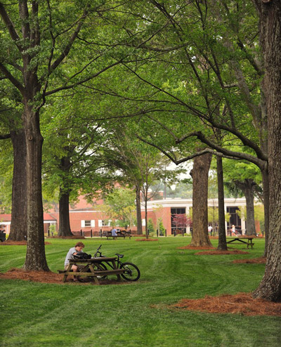 University of Mississippi