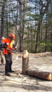 professional chainsaws