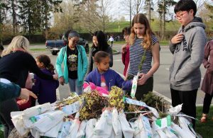 Arbor Day