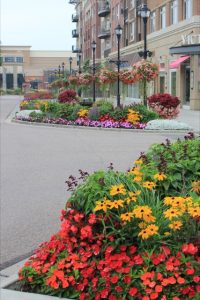 landscape industry landscape industry