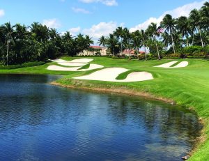erosion control
