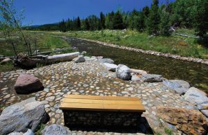 Landscape Design