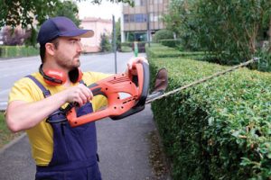 municipal landscape work