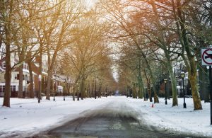 winter planning