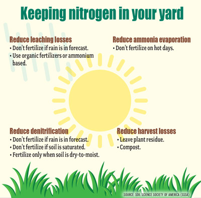 nitrogen fertilizer