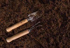nitrogen fertilizer