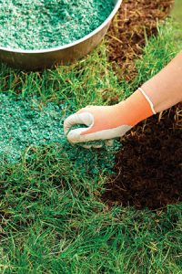 nitrogen fertilizer