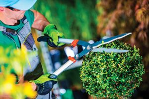landscaping services