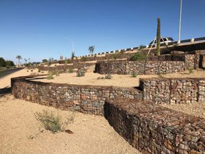 xeriscape