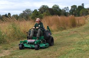 grounds care