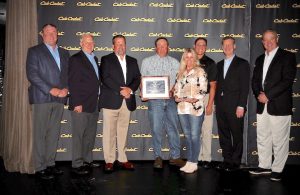 cub cadet dealers